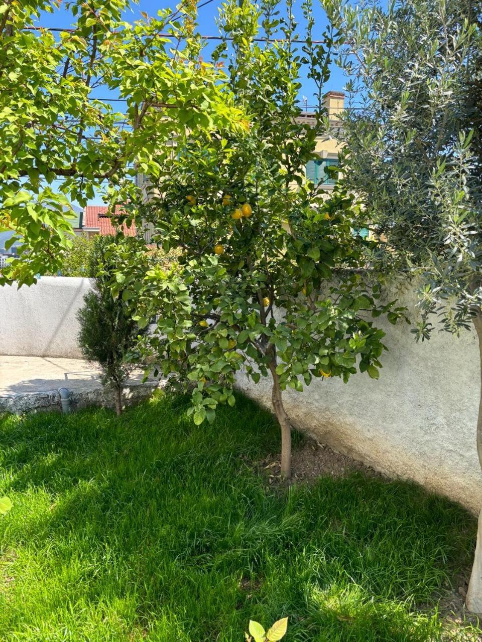 Garden One Bedroom Apartment Tirana Exterior photo